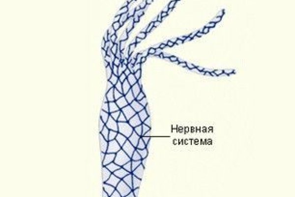 Как восстановить аккаунт кракен