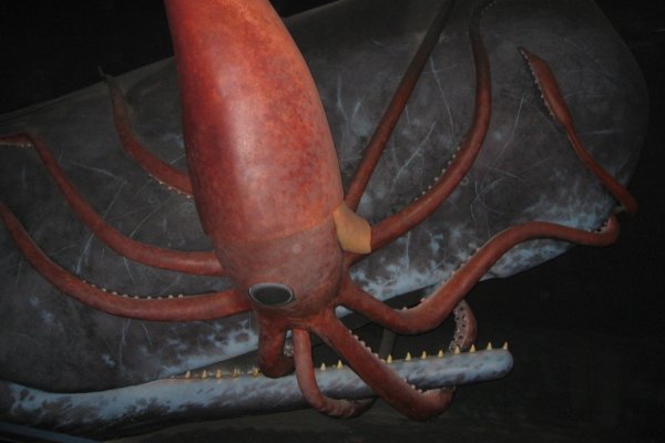 Официальный сайт кракен kraken